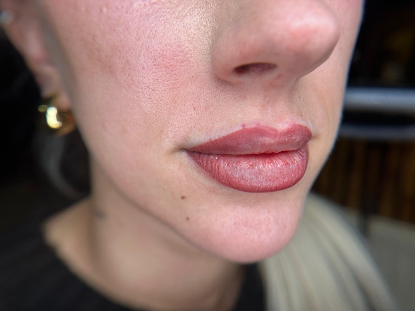 Shaded Lipliner, frisches Ergebnis direkt nach der Pigmentierung